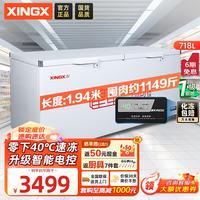 星星 718升单温冰柜商用冷藏冷冻两用卧式冰箱商用大容量保鲜速冻雪柜-40℃冷冻柜BD/BC-718GD
