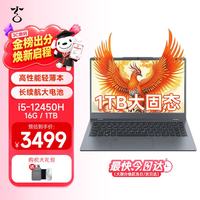 紫光 玄鸟笔记本电脑i5-12450H/16G/1TB/14英寸高清屏