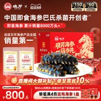 移动端、88VIP：晓芹 大连即食海参 1500g 辽刺参 开袋即食 1500g40-60只 简装