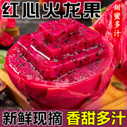 绿念 广西红心火龙果 5斤 包邮