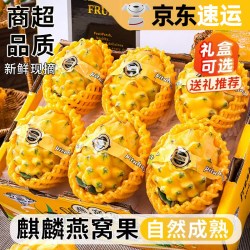 寻天果蔬 云南白心火龙果 150-200g精选中果 1斤