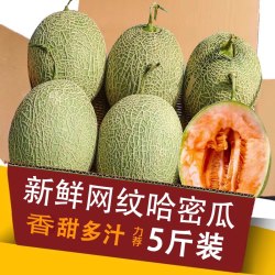 菁口乐 山东网纹瓜 3斤