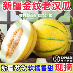 奇果出疆 新疆 金纹老汉瓜 7-8斤