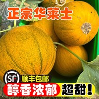 移动端:似仙渠 内蒙古河套平原 华莱士哈密瓜 4.5斤 顺丰包邮