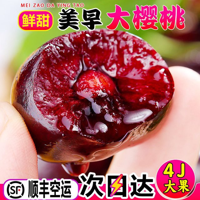 移动端：鲜蜜季 山东烟台 美早车厘子 5斤 4J