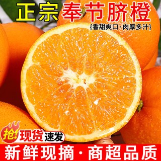移动端：探味君 重庆 奉节脐橙 3斤 60mm-65mm