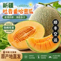 移动端：奇果出疆 新疆哈密瓜西州蜜25号吐鲁番网纹蜜瓜新鲜一箱空运直发