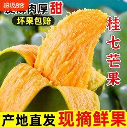 薯二胖 广西百色桂七芒果 4.5斤 单果150-200g