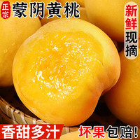 粤迎 正宗山东蒙阴黄桃黄毛桃现摘桃子新鲜水果生鲜 5斤甄选果净4.5斤