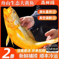 昌鲜园 舟山大黄鱼 2条装（每条约1斤无礼盒）