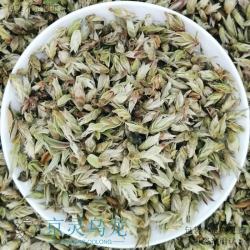 岩亥 2026年云南白芽苞茶芽千年老妖古树芽孢普洱茶散茶生茶叶500g 250g