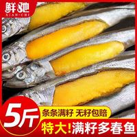 鲜驰 国产多春鱼 500g 冷冻海鲜