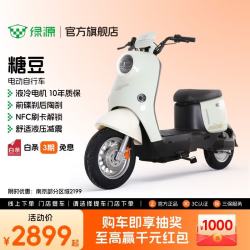绿源 ZOF 电动自行车  LY2000DT-9
