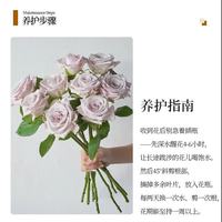 京东鲜花 玫瑰 20枝+10枝 云南基地直发 色