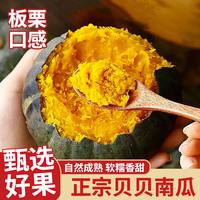 偏南鲜果 广西 贝贝南瓜 150g-500g 带箱5斤