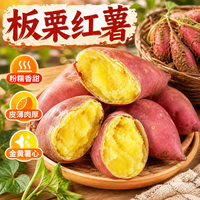 春福乐 正宗黄心板栗红薯 新鲜应季现挖现发 香甜软糯 健康早餐宝宝辅食 5斤严选装净重4斤