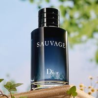 Dior 旷野男士淡香水60ml木质香调香氛留香礼盒装生日礼物送男友