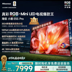 海信 电视小墨E5S Pro 85吋 RGB-MiniLED玲珑真彩背光 信芯芯片 墨晶屏高刷超薄小墨85E5Q升级85E5S