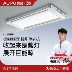 奥普 智能隐形超薄曲面屏照明晾衣架 遥控升降伸缩晾衣杆 D350
