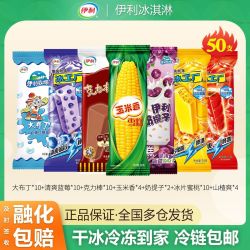 伊利 国产蓝莓冰淇淋玉米香雪糕奶提子克力棒 50支
