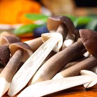 京喜加 福建鲜采伞把菇黑皮鸡枞 四盒（150g/盒）