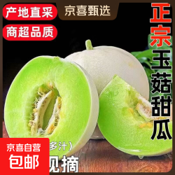 山东现采现摘冰淇淋玉菇甜瓜蜜瓜软糯多汁时令生鲜 玉菇净重4.5-5斤(2-3个)