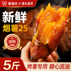 春福乐 山东烟薯25号糖心蜜薯沙地番薯烤地瓜 5斤严选果净4斤
