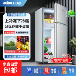 京喜 日普（RIPU）双门冰箱小型家用一级能效小冰箱迷你小型宿舍出租房办公室节能省电冷藏冷冻电冰箱