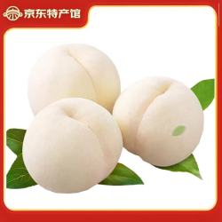 静益乐源 丹江奶油白桃 5斤果王单果150-200g