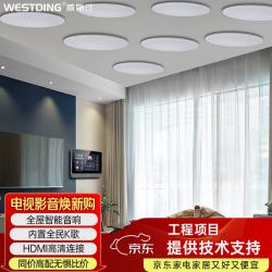 威斯汀 家庭背景音乐主机系统套装XT12京东小家智能生态 家庭影院吸顶音响蓝牙音箱 XT12+928*8