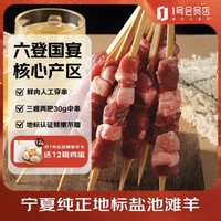 1号会员店 宁夏盐池滩羊 羔羊肉串 净重600g（20串）地标羊肉烧烤食材 烤肉