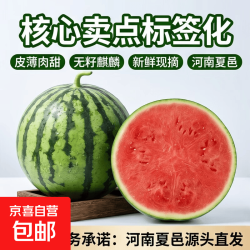 京喜 正宗冰糖麒麟美都有籽西瓜新鲜现摘现发皮薄肉甜河南夏邑源头直发 5-7斤1粒（净重5斤+）