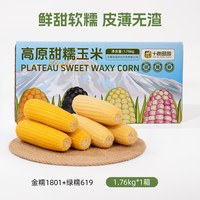 十色田园 山西五寨甜糯玉米 1.76kg*1箱