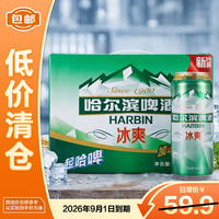 哈尔滨啤酒 冰爽啤酒500ml*12罐 一起哈啤罐装整箱装踏青出游