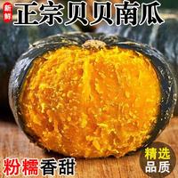 春福乐 正宗贝贝南瓜板栗南瓜香甜粉糯老瓜蔬菜 5斤 S+精品装净重4斤
