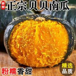 春福乐 正宗贝贝南瓜板栗南瓜香甜粉糯老瓜蔬菜 5斤 S+精品装净重4斤