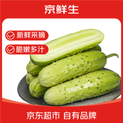 京鲜生 山东旱黄瓜净重5斤新鲜采摘源头直发