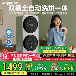 KANGYAN 壁挂式双桶舱分仓内衣裤专用洗衣机迷你小型全自动洗烘一体洗袜子机懒人洗衣机洗袜子神器 钛合灰