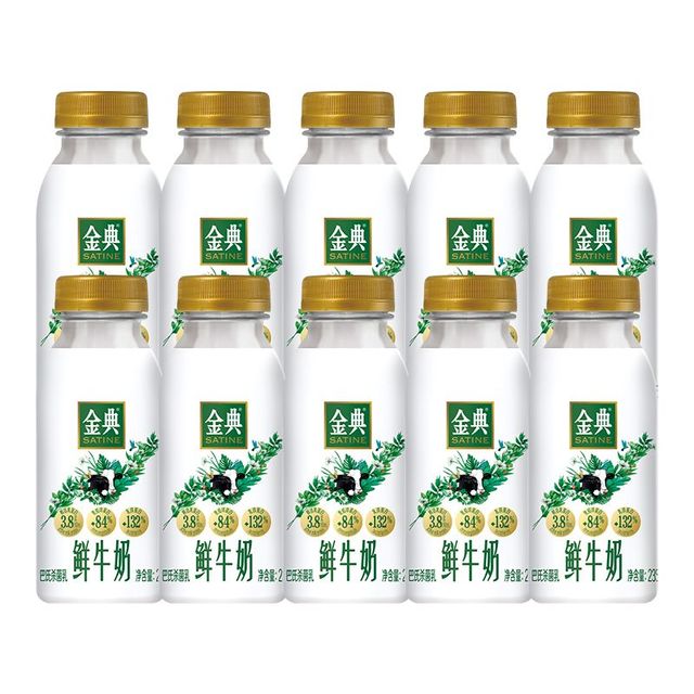 伊利 SF 伊利 金典鲜牛奶 235ml*10瓶 低温牛奶
