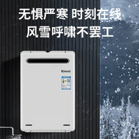 淘金币可用：林内 JSW46-A2426W 水量伺服器 16L 天然气 燃气热水器