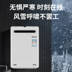 林内 JSW46-A2426W 水量伺服器 16L 天然气 燃气热水器