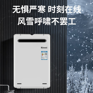 淘金币可用：林内 JSW46-A2426W 水量伺服器 16L 天然气 燃气热水器