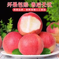 粤迎 山西水蜜桃现摘新鲜当季应季时令现水果桃子 5斤精选果