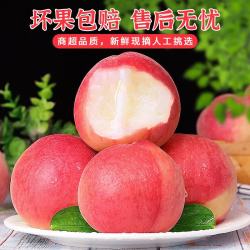 粤迎 山西水蜜桃现摘新鲜当季应季时令现水果桃子 5斤精选果