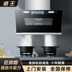 威王 抽油烟机家用厨房大吸力双电机抽烟机壁挂式侧吸油清洗 90CM五键触屏挥手体感自动清洗 上门安装