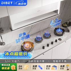 Dibet 迪钡特F4隐藏式升降油烟机抽烟机小黑镜排油烟机顶侧双吸32m³大吸力吸烟机全嵌入式烟灶联动