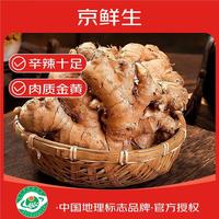 京鲜生 云南小黄姜 净重5斤 生姜 老姜 单果50g+ 源头直发 5斤