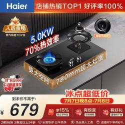 海尔 液化气燃气灶双灶 家用台嵌两用煤气炉  70%高热效5.0kw超密火 煤气灶H70A大尺寸面板