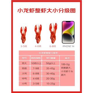 弹指鲜生 麻辣小龙虾 3斤 冷冻加热即食