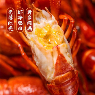 弹指鲜生 麻辣小龙虾 3斤 冷冻加热即食